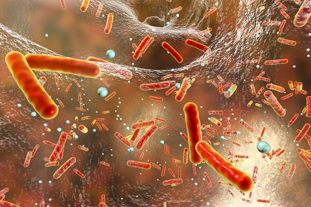 The Role of Minocycline in Treating Bacterial Infections